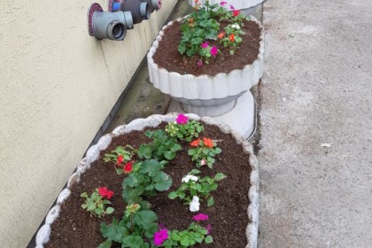 봄 맞이 교회 화단 꽃 심기