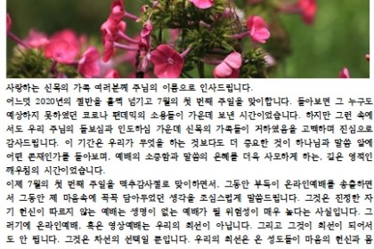 2020년 7월을 시작하면서 - 목회서신